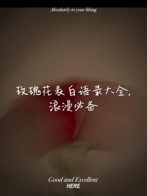 浪漫语录高级感，浪漫语录，情感的高级表达  第1张