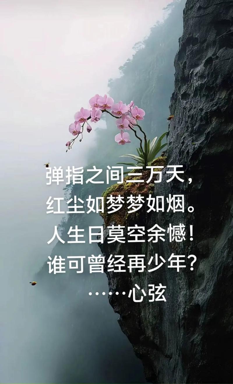红尘一卷醉千年  第1张