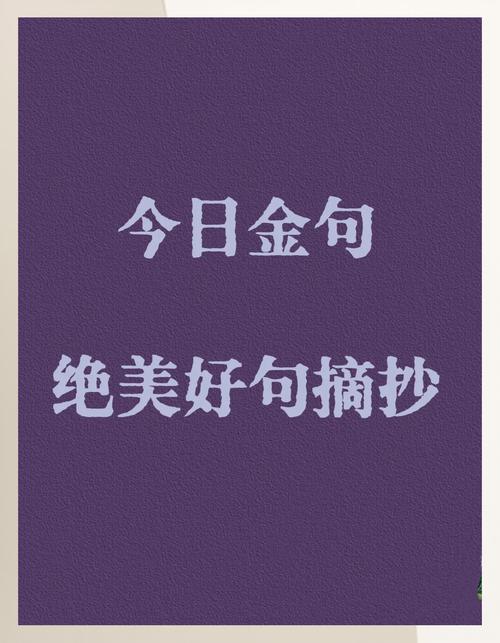 人生金句 句句戳心，人生金句，句句戳心的智慧之语  第1张