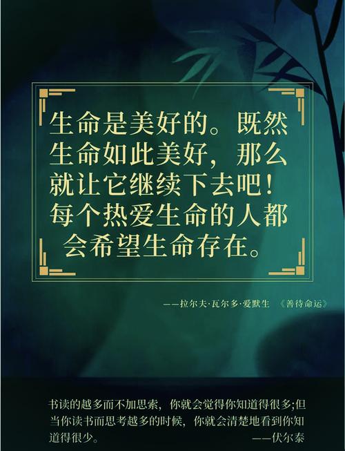 有关生命的名言,生命的名言,珍惜每一刻,活出精彩人生。 第1张 有关生命的名言,生命的名言,珍惜每一刻,活出精彩人生。 第1张