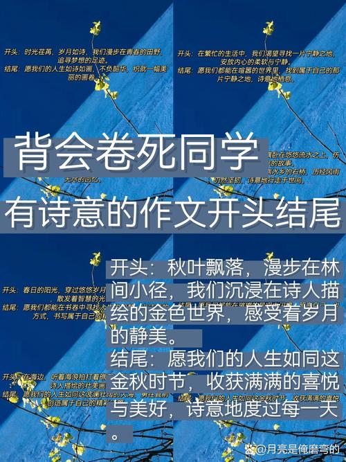 唯美惊艳的开头结尾,唯美惊艳的开头与结尾 第1张 唯美惊艳的开头结尾,唯美惊艳的开头与结尾 第1张
