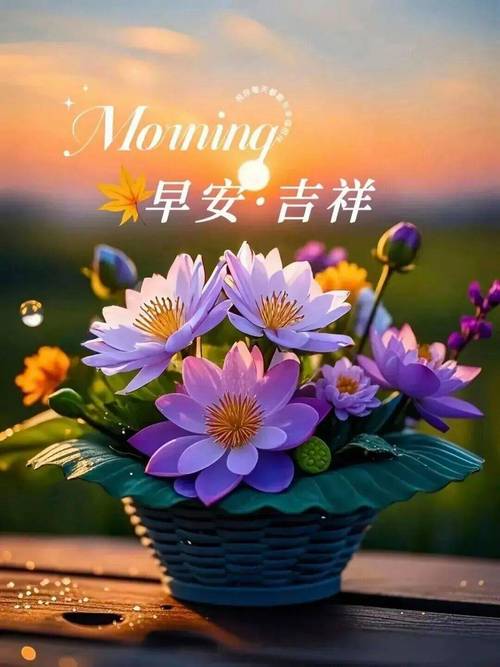 早上好问候朋友暖心句子,2023特别漂亮精美早安图片 第1张 早上好问候朋友暖心句子,2023特别漂亮精美早安图片 第1张