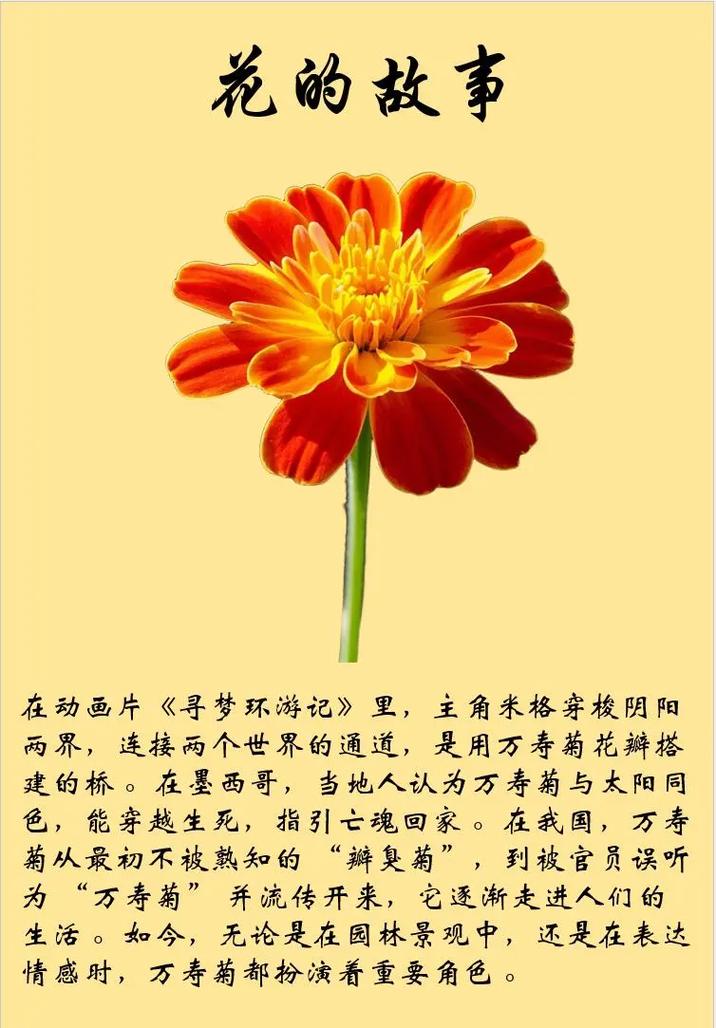 花朵怎会如此暴戾? 第1张 花朵怎会如此暴戾? 第1张