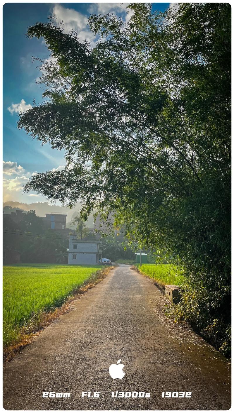 故乡的原风景 第1张 故乡的原风景 第1张