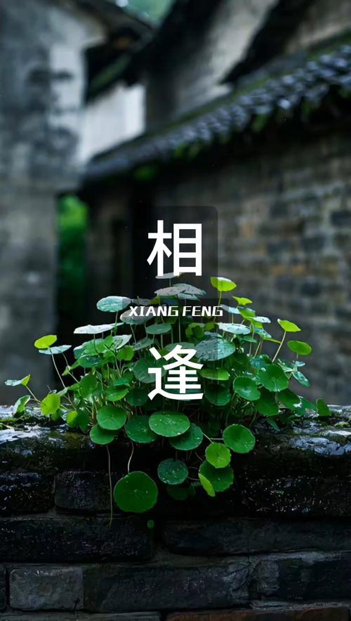 最美不过初相逢 第1张 最美不过初相逢 第1张