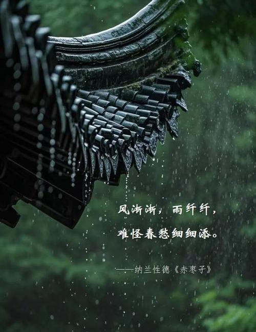 躲不过的雨季 第1张 躲不过的雨季 第1张