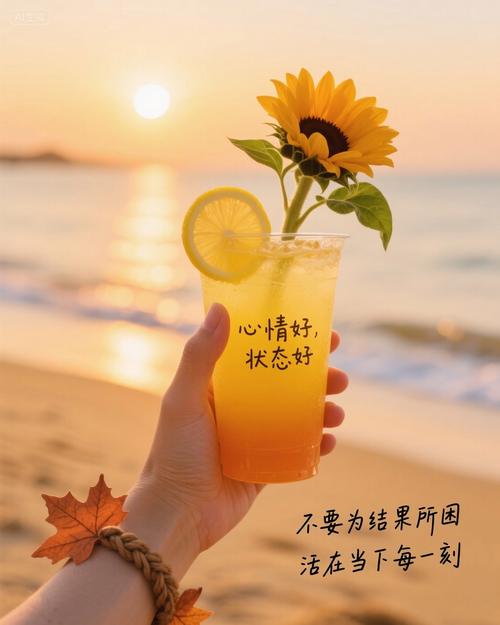 点滴生活，温暖心灵：日常生活文案带给你的启示  第1张