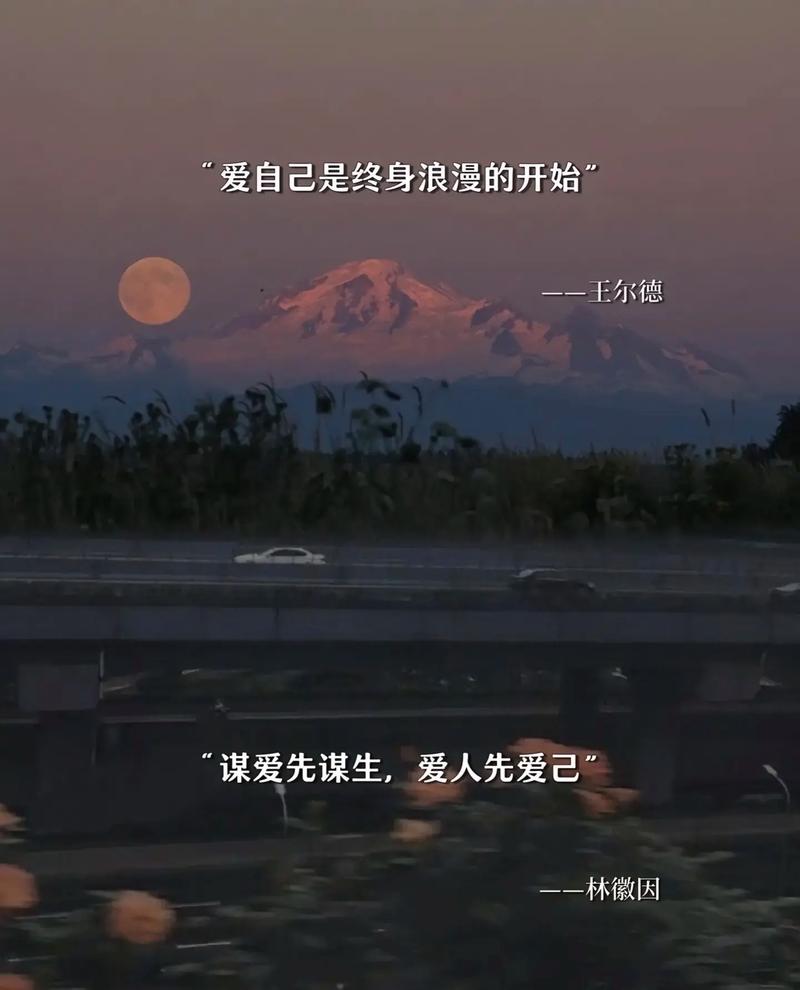 每日心情语录 / 爱自己是终身浪漫的开始  第1张