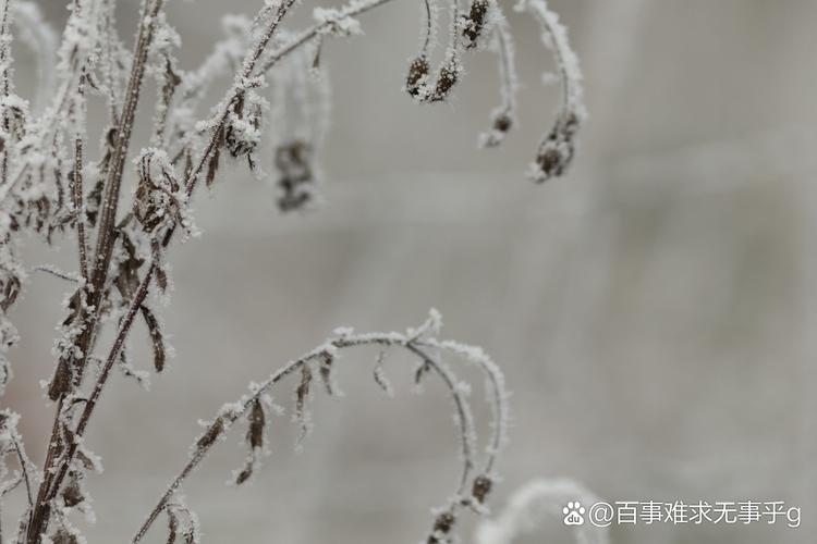 冬的脚步近了 第1张 冬的脚步近了 第1张