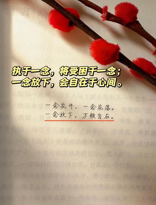 我终于可以放下年少的执念 第1张 我终于可以放下年少的执念 第1张
