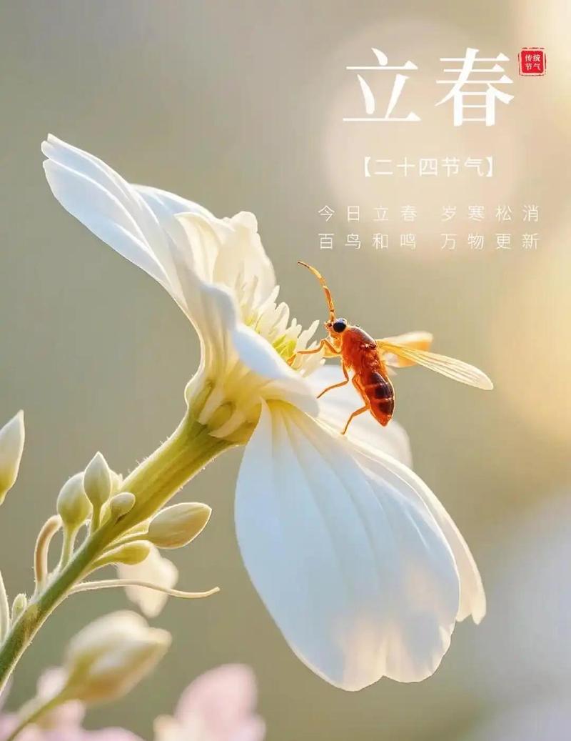 立春:疫去春来,愿所有美好如约而至 第1张 立春:疫去春来,愿所有美好如约而至 第1张