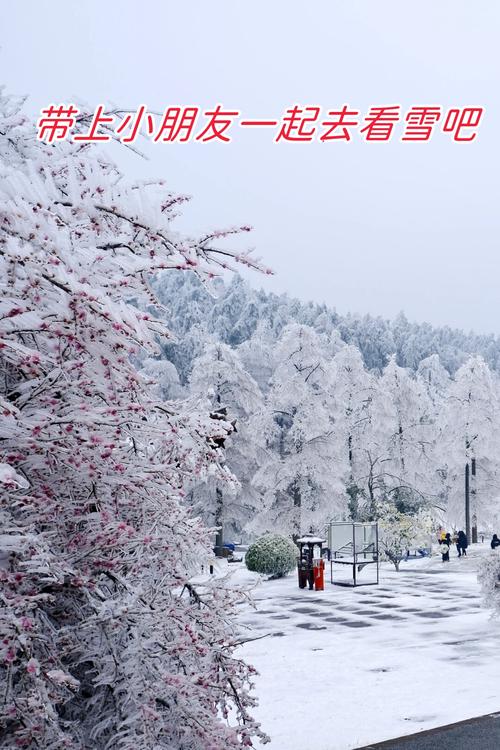 看雪 第1张 看雪 第1张