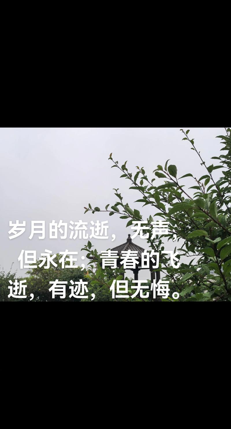 时光如梭,青春难再 第1张 时光如梭,青春难再 第1张