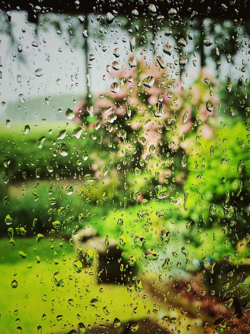 雨 第1张 雨 第1张