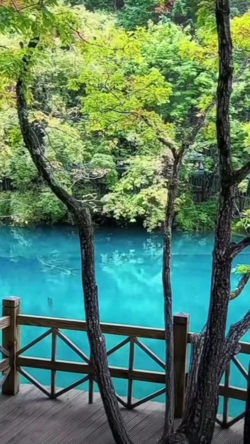 山中邂逅 第1张 山中邂逅 第1张