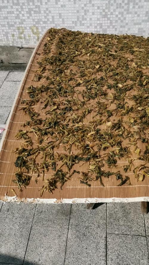 晒干菜 第1张 晒干菜 第1张