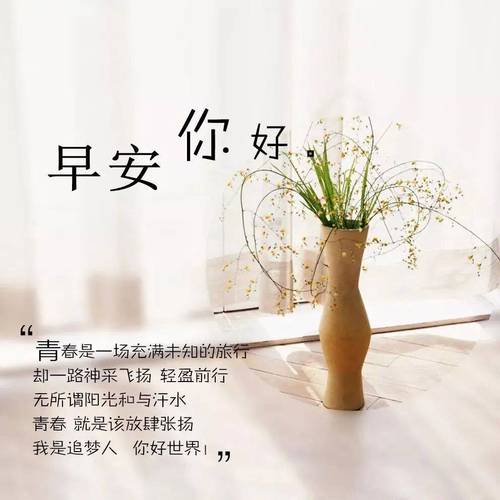 写给女性早安励志句子,句句蕴含正能量 第1张 写给女性早安励志句子,句句蕴含正能量 第1张