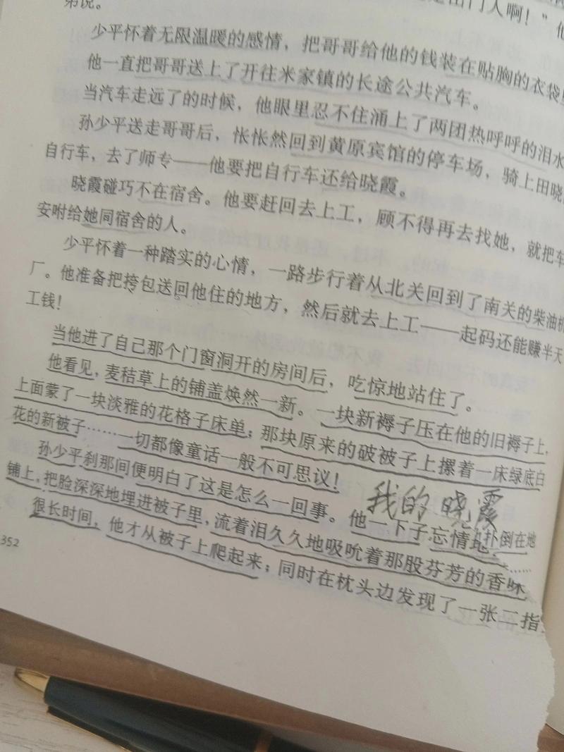 《平凡的世界》20句经典语录：我们生而平凡，但注定人生不平凡  第1张