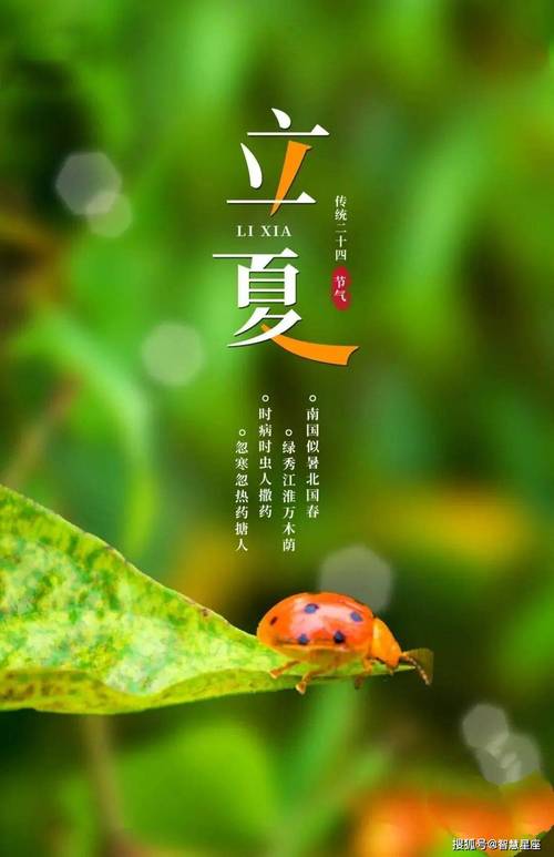 明日立夏，老祖宗留下的关于立夏的6句俗语，每一句都饱含智慧  第1张