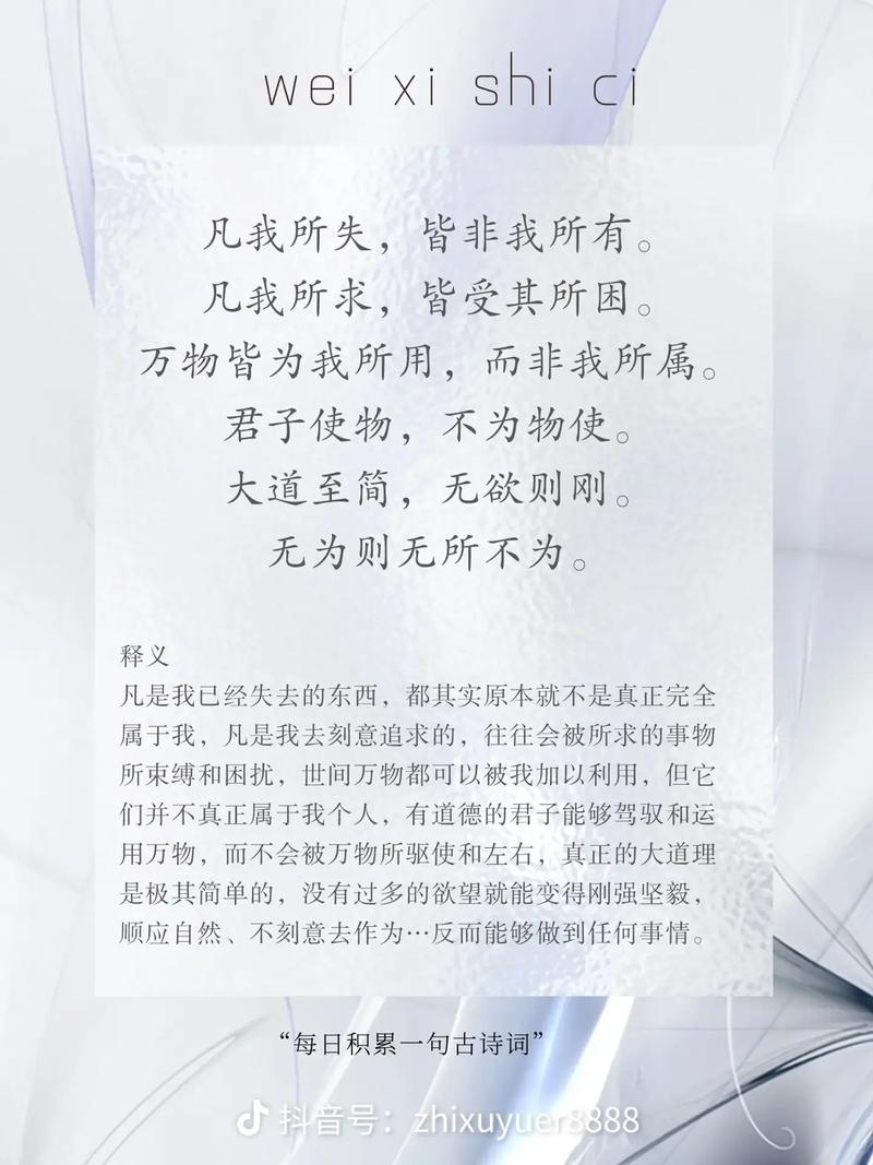 “大道在于至简，一语定掌乾坤”董卿的五大金句，你知道么？  第1张