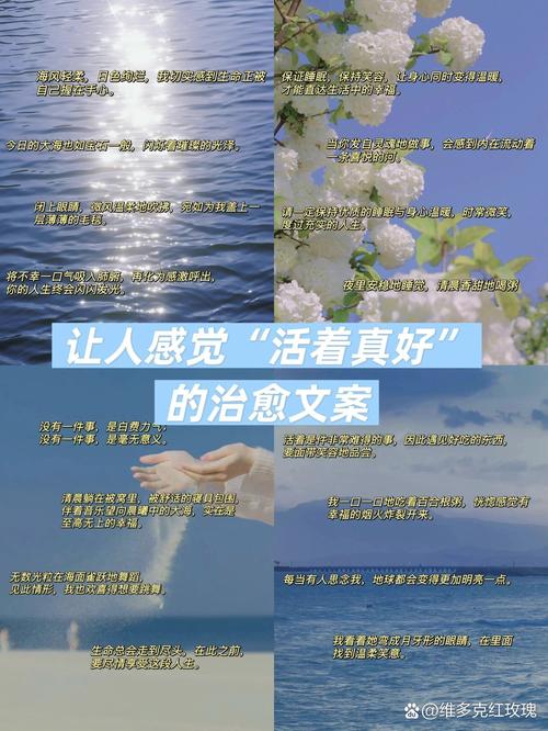 淡淡地活着真好 第1张 淡淡地活着真好 第1张