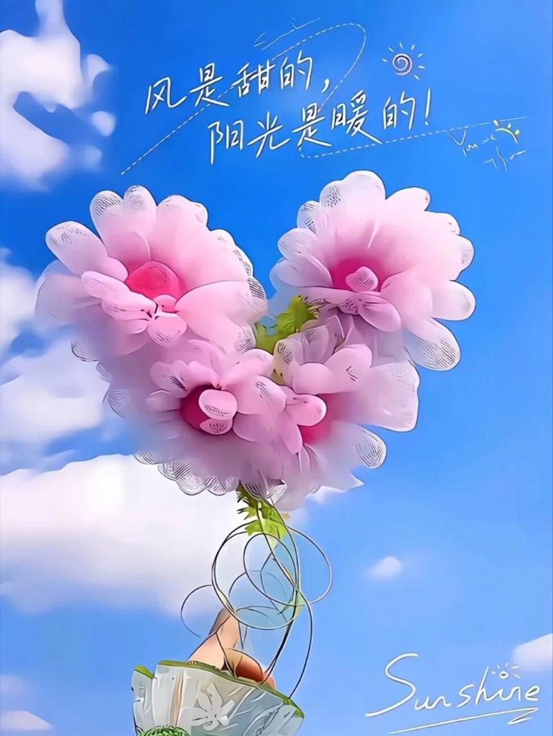阳光洒在心间,温暖内心的每个角落 第1张 阳光洒在心间,温暖内心的每个角落 第1张