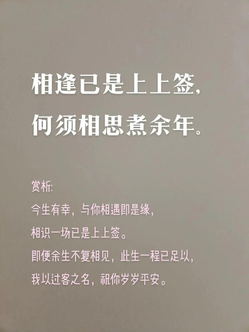 相逢已是上上签,珍惜每一个相遇 第1张 相逢已是上上签,珍惜每一个相遇 第1张