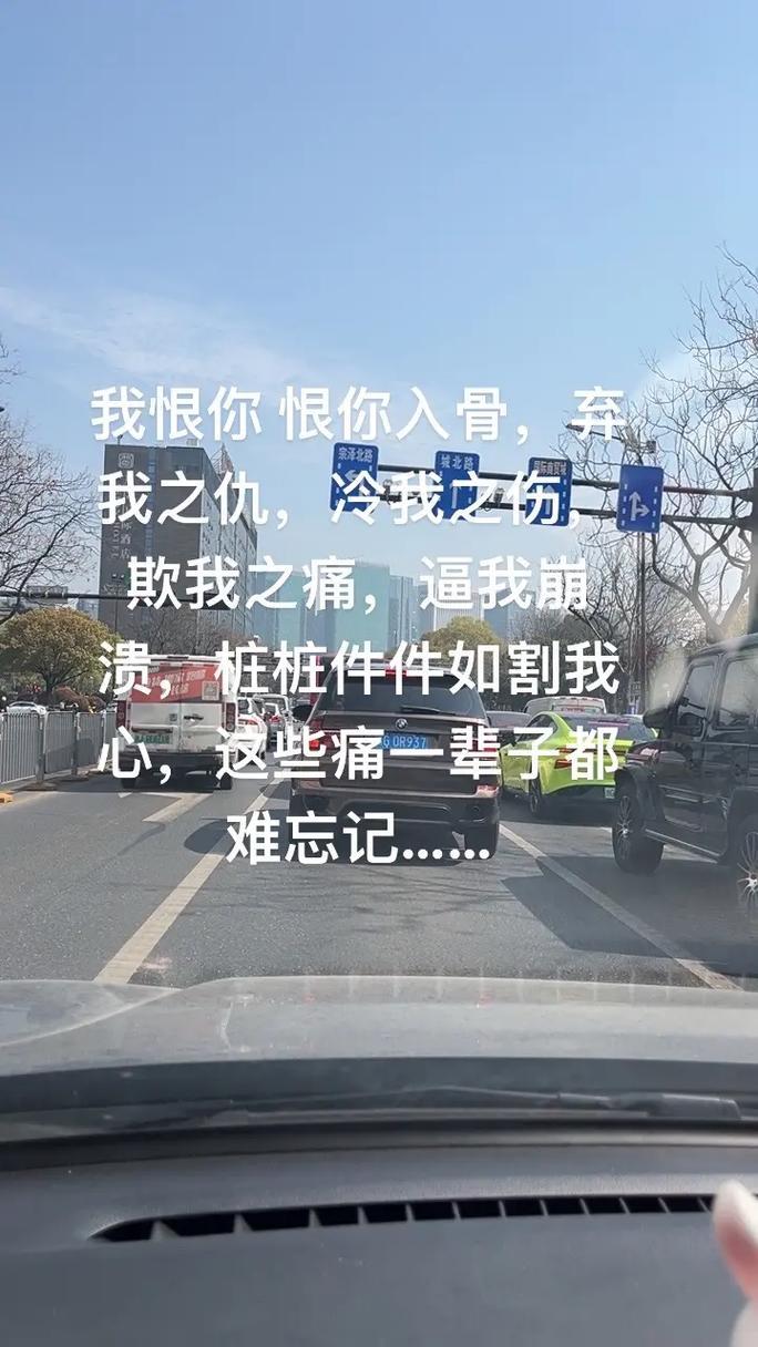 对不起恨你我做不到  第1张