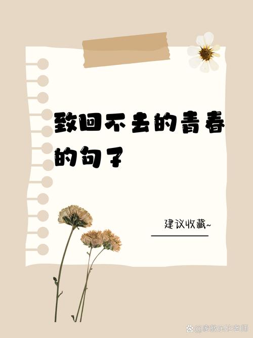 愿你走出半生,归来仍是少年|那些青春怀念的句子 第1张 愿你走出半生,归来仍是少年|那些青春怀念的句子 第1张