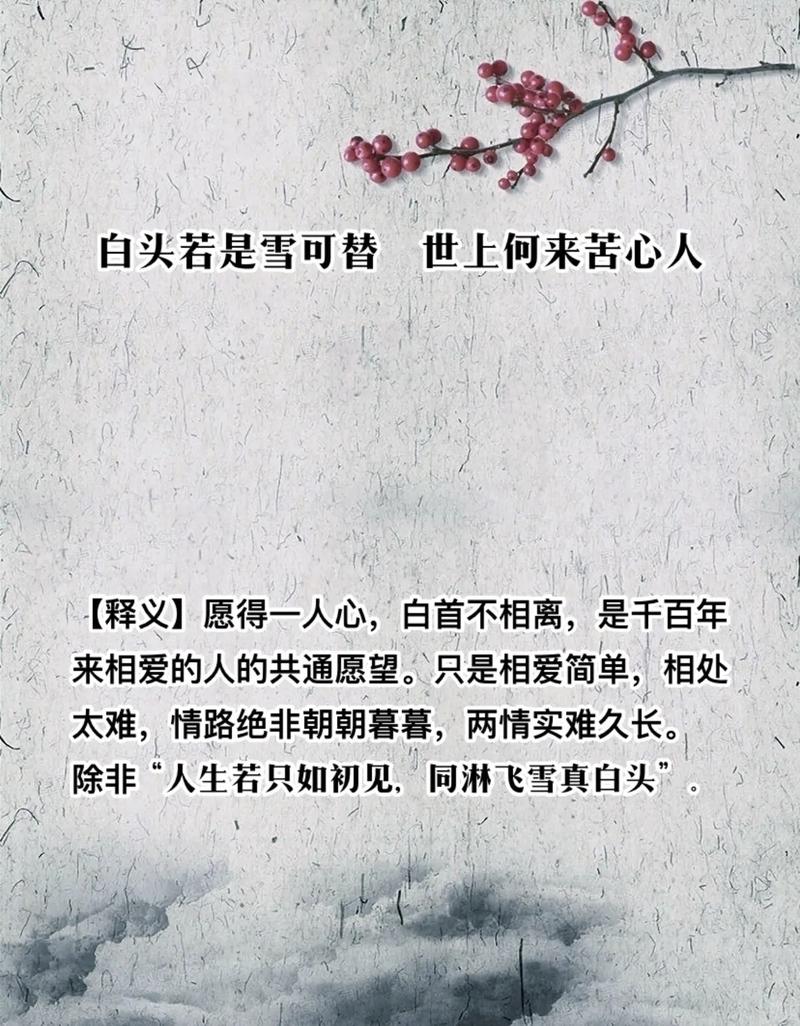 暮雪白头,爱意深沉 第1张 暮雪白头,爱意深沉 第1张
