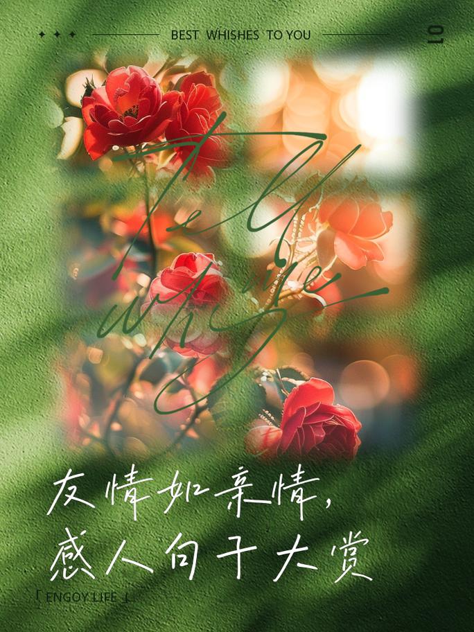 心灵的港湾,情的漩涡,彼此依偎,共度风雨。 第1张 心灵的港湾,情的漩涡,彼此依偎,共度风雨。 第1张