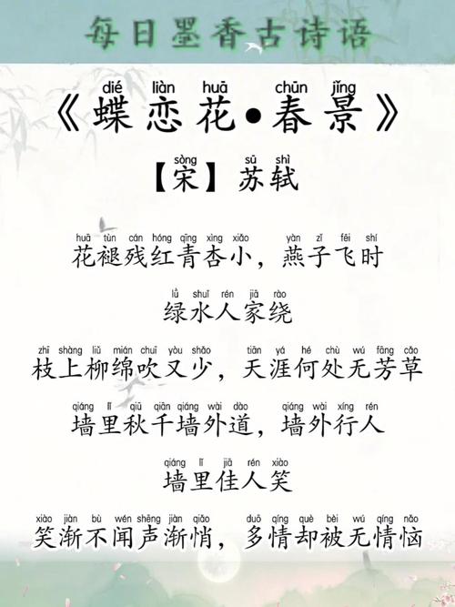 7首古诗词，鸟语花香，唯美入画，读完忘却一切烦忧  第1张