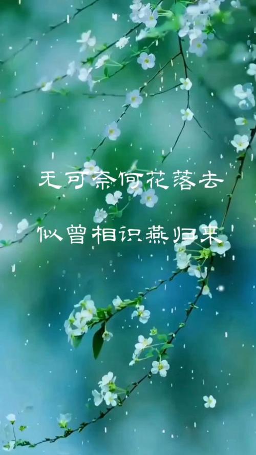 花开若相惜花落莫相离 第1张 花开若相惜花落莫相离 第1张