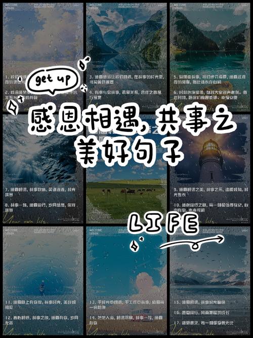 感恩岁月,感谢美好相遇 第1张 感恩岁月,感谢美好相遇 第1张