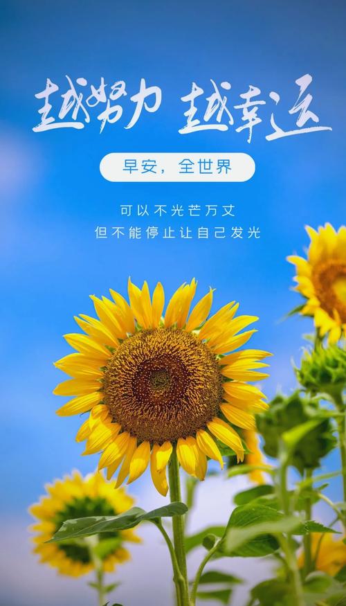 精选出一百句励志正能量语句,每天鼓励自己,心向阳光,元气满满 第1张 精选出一百句励志正能量语句,每天鼓励自己,心向阳光,元气满满 第1张