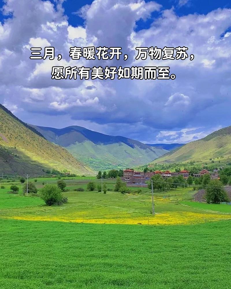 三月美好，人生向美而行，走着走着花就开了  第1张