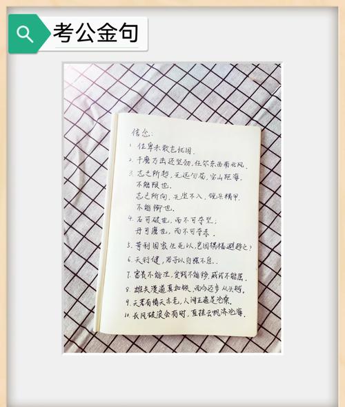 申论写作、机关单位写材料必备素材——公文金句选摘20230904  第1张