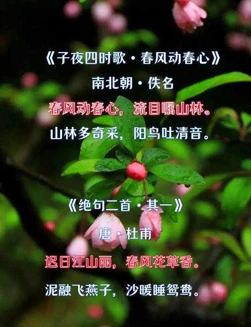适合春天发朋友圈的诗句,浪漫又唯美 第1张 适合春天发朋友圈的诗句,浪漫又唯美 第1张