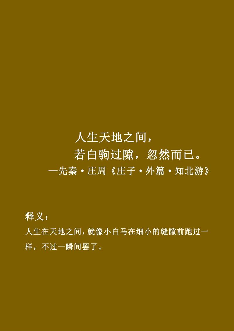 光阴匆匆了，伸手遮挽时！让时间溜走，一切自有答案  第1张