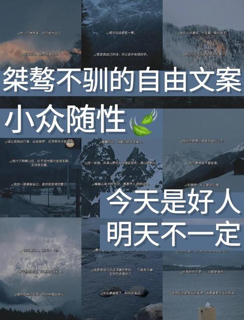 情绪文案|“肆意生长,热爱无休” 第1张 情绪文案|“肆意生长,热爱无休” 第1张