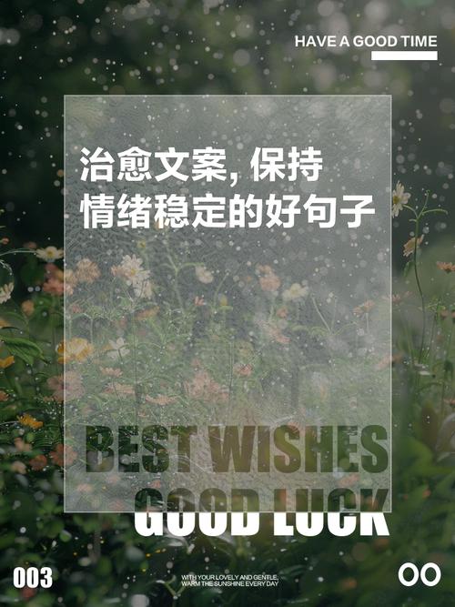 情绪文案|保持好的情绪,从降低期待开始 第1张 情绪文案|保持好的情绪,从降低期待开始 第1张