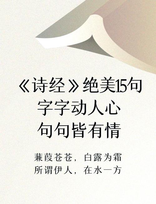 《诗经》中的40个神句 第1张 《诗经》中的40个神句 第1张