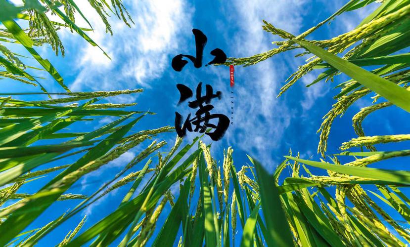 符纯荣专栏|入夏说阵雨 第1张 符纯荣专栏|入夏说阵雨 第1张