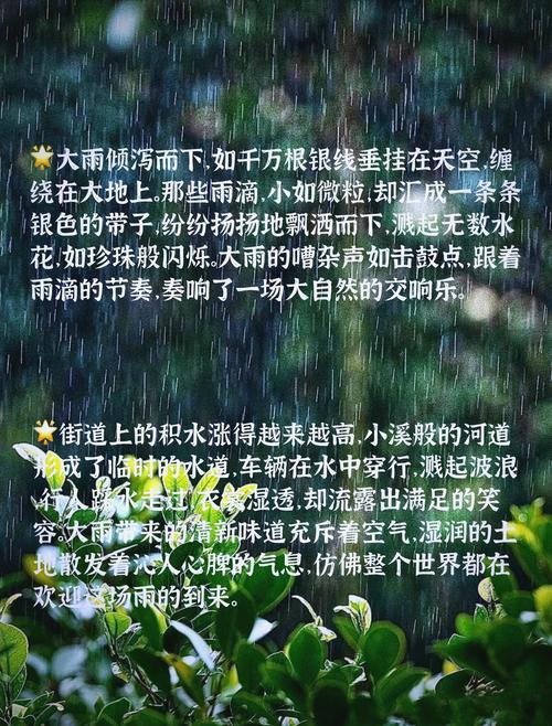 9句描写下雨天的好句子 第1张 9句描写下雨天的好句子 第1张