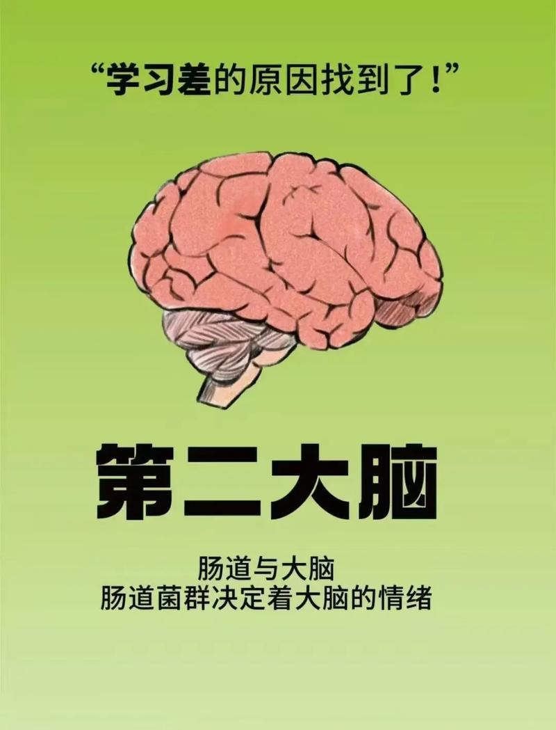 肠是人的第二大脑, 懂得“肠寿”才能“长寿” 第1张 肠是人的第二大脑, 懂得“肠寿”才能“长寿” 第1张