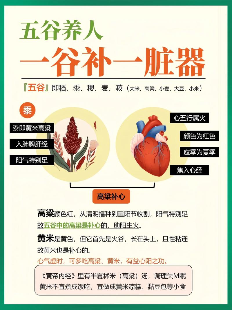 一谷补一脏 中医告诉你五谷怎样吃最养生 第1张 一谷补一脏 中医告诉你五谷怎样吃最养生 第1张