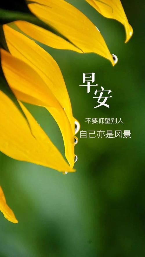 早上好!几条说说情感励志语录,句句让人心疼,送给悲伤难过的你 第1张 早上好!几条说说情感励志语录,句句让人心疼,送给悲伤难过的你 第1张