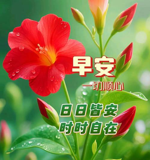 早上好!微信上最火的经典句子,句句清新唯美,送给委屈心累的你 第1张 早上好!微信上最火的经典句子,句句清新唯美,送给委屈心累的你 第1张