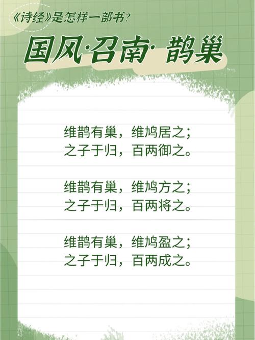 《诗经·鹊巢》:原来“鹊巢鸠占”是用来比喻爱情的 第1张 《诗经·鹊巢》:原来“鹊巢鸠占”是用来比喻爱情的 第1张