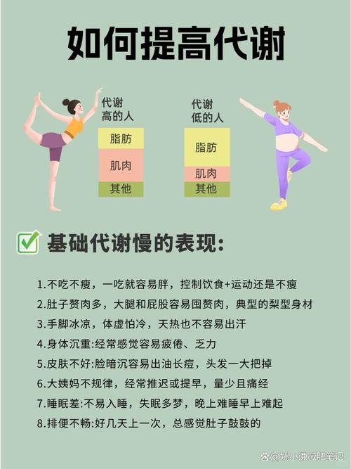 提高基础代谢率 加速燃脂 第1张 提高基础代谢率 加速燃脂 第1张